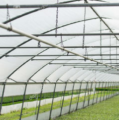 חממות בגני טל