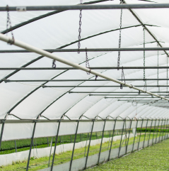 תמונה תדמית אילוסטרציה